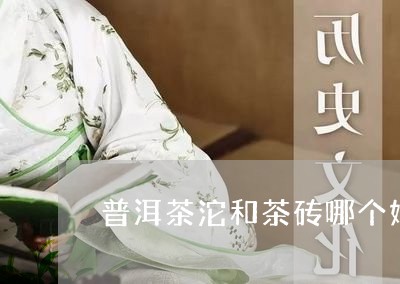 普洱茶沱和茶砖哪个好/2023062951671