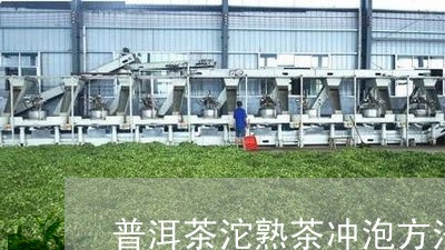 普洱茶沱熟茶冲泡方法/2023100751592