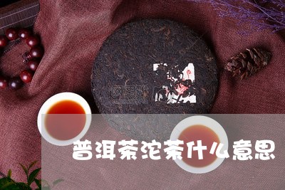 普洱茶沱茶什么意思/2023080278371