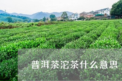 普洱茶沱茶什么意思/2023100694914