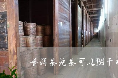 普洱茶沱茶可以阴干吗/2023080368393