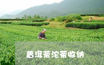 普洱茶沱茶收纳/2023101620470