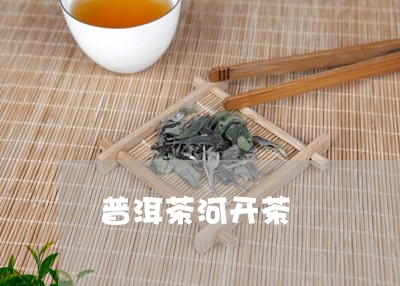 普洱茶河开茶/2023042901024