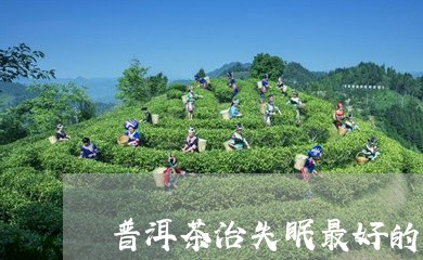 普洱茶治失眠最好的药材/2023083088384