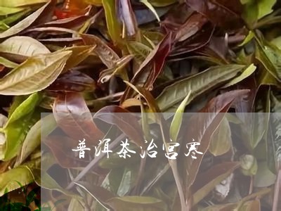 普洱茶治宫寒/2023042512562