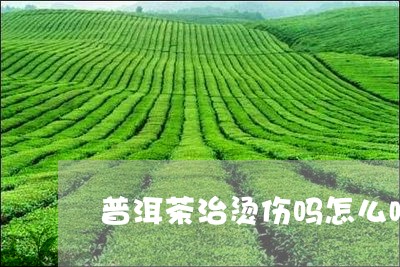 普洱茶治烫伤吗怎么喝好/2023083079605