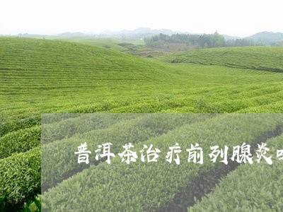 普洱茶治疗前列腺炎吗/2023092685261