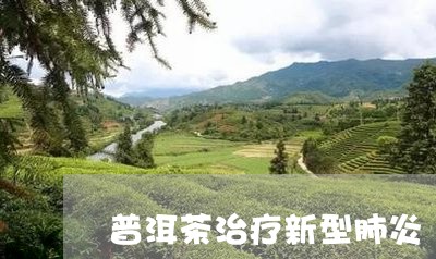 普洱茶治疗新型肺炎/2023070885169