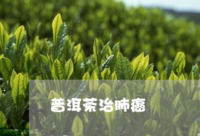 普洱茶治肺癌/2023042690345