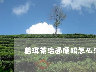 普洱茶治通便吗怎么泡水喝/2023082824936