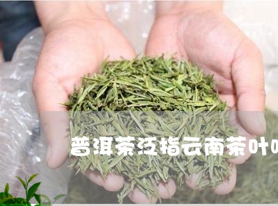 普洱茶泛指云南茶叶吗对不对/2023083063727