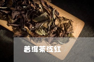 普洱茶泛红/2023090577060