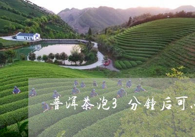 普洱茶泡3分钟后可以喝么/2023051051538