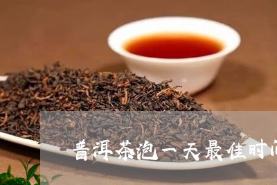 普洱茶泡一天最佳时间/2023092980715