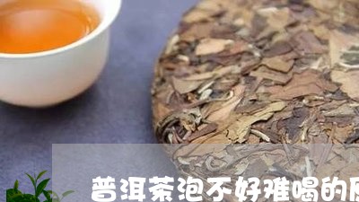 普洱茶泡不好难喝的原因/2023110198397