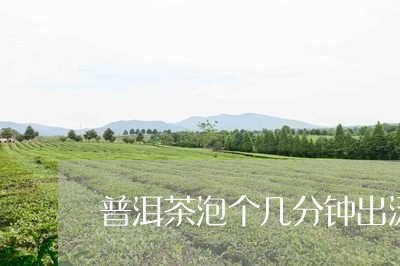 普洱茶泡个几分钟出汤/2023092717371