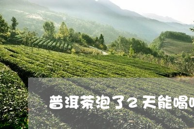 普洱茶泡了2天能喝吗有毒吗/2023110471693