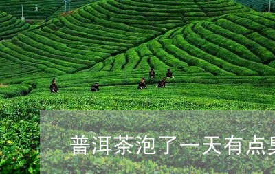 普洱茶泡了一天有点臭/2023092862916