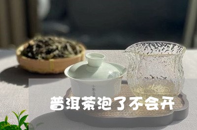 普洱茶泡了不会开/2023120485274