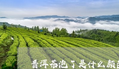 普洱茶泡了是什么颜色/2023080107168