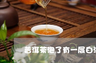 普洱茶泡了有一层白泡沫/2023081463958