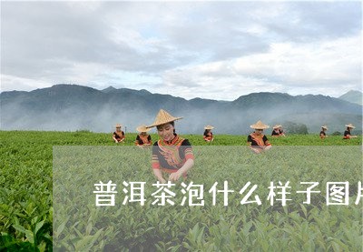 普洱茶泡什么样子图片/2023062102614