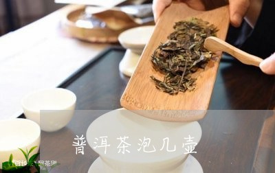 普洱茶泡几壶/2023042856953