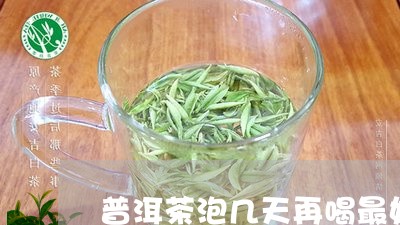 普洱茶泡几天再喝最好呢/2023110360370