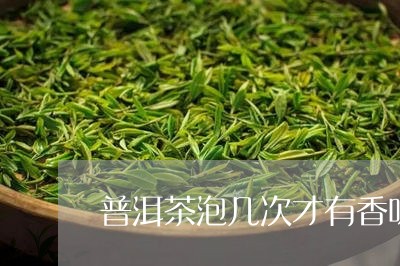 普洱茶泡几次才有香味/2023080260593