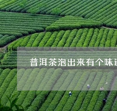 普洱茶泡出来有个味道/2023062402959