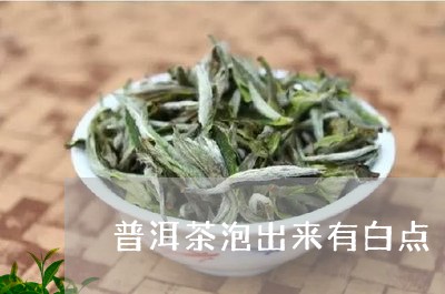 普洱茶泡出来有白点/2023091569492