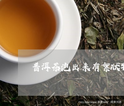 普洱茶泡出来有絮状物/2023061862604