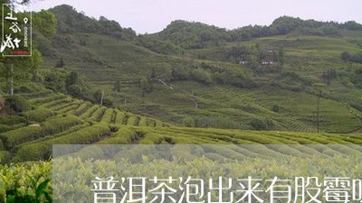 普洱茶泡出来有股霉味/2023061943805