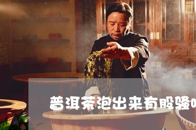 普洱茶泡出来有股骚味/2023093002826