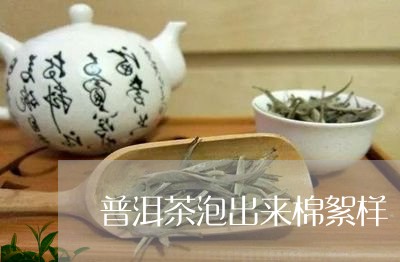 普洱茶泡出来棉絮样/2023083092804