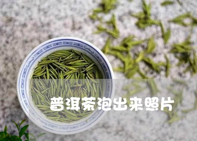 普洱茶泡出来照片/2023110740493