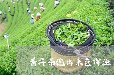 普洱茶泡出来色浑浊/2023062131615