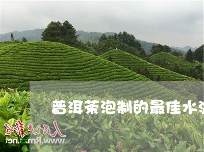 普洱茶泡制的最佳水温是多少/2023110216049