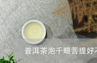 普洱茶泡千眼菩提好不好/2023110149694