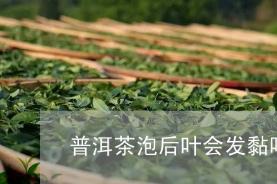 普洱茶泡后叶会发黏吗/2023072464817