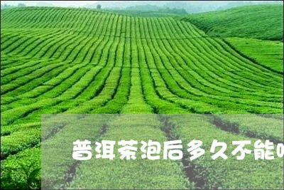 普洱茶泡后多久不能喝/2023062403747