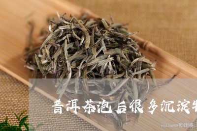 普洱茶泡后很多沉淀物/2023061683938