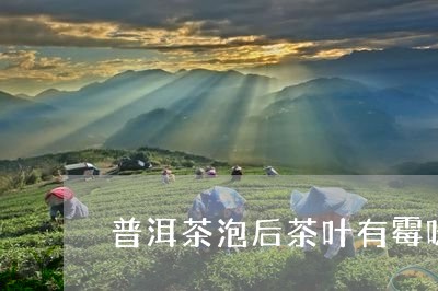 普洱茶泡后茶叶有霉味/2023062363927