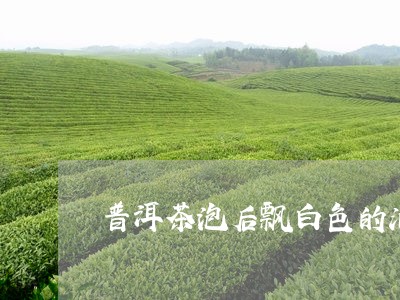 普洱茶泡后飘白色的油/2023092703037