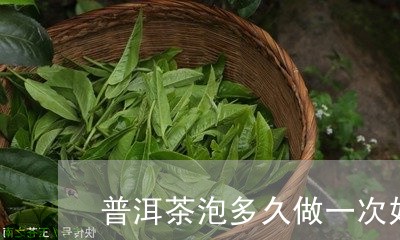 普洱茶泡多久做一次好/2023083082945