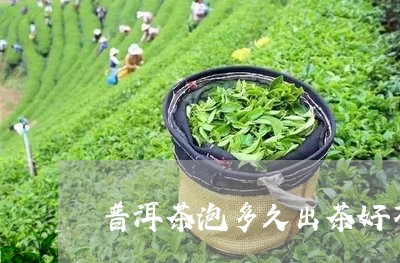 普洱茶泡多久出茶好不好/2023083068179