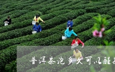 普洱茶泡多久可以醒茶/2023063060482