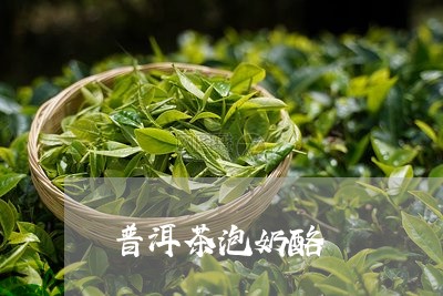 普洱茶泡奶酪/2023042609756