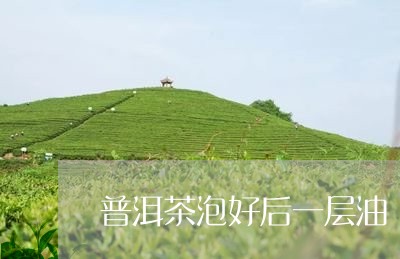 普洱茶泡好后一层油/2023042910412