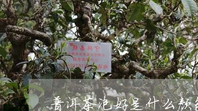 普洱茶泡好是什么颜色/2023061776959